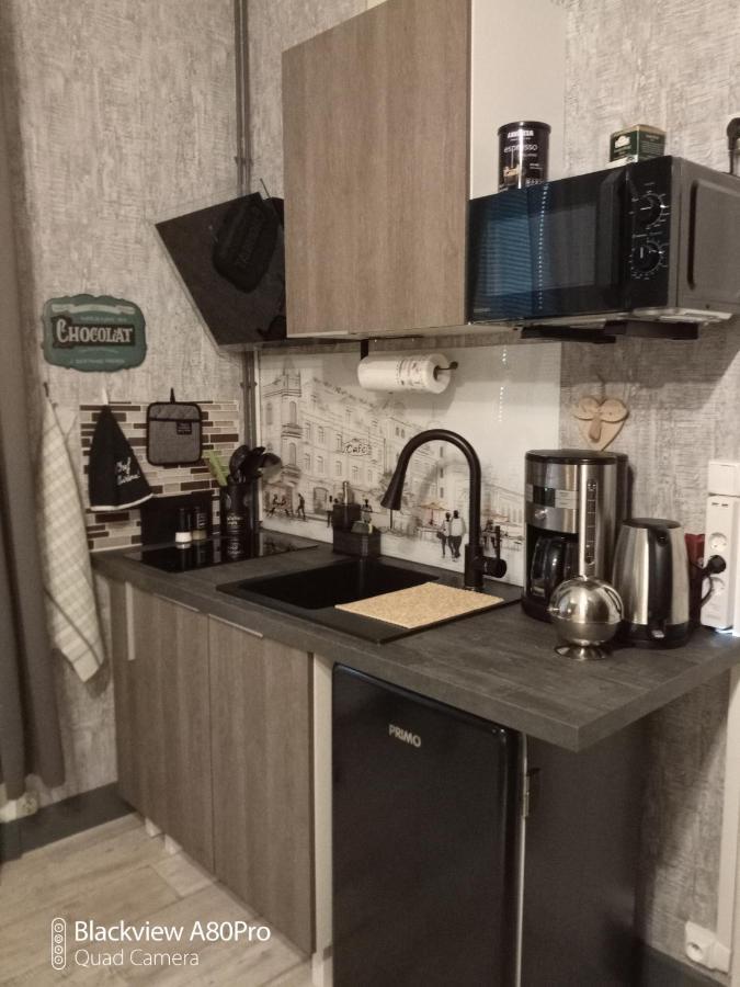 Studio Malou, Cuisine, Salle D'Eau, Terrasse Amenagee Olliergues Dış mekan fotoğraf
