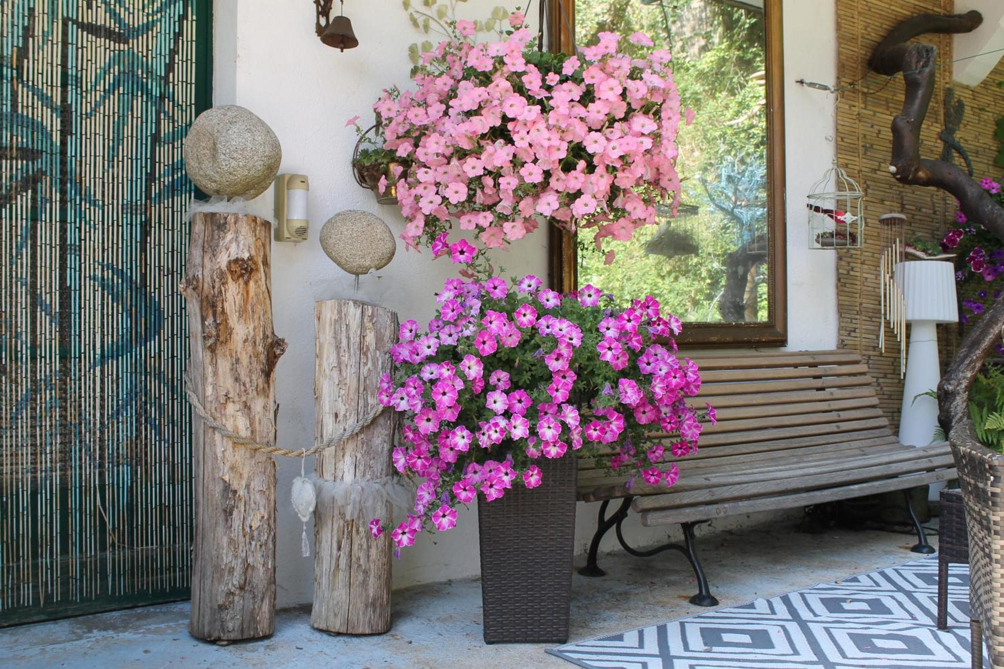 Studio Malou, Cuisine, Salle D'Eau, Terrasse Amenagee Olliergues Dış mekan fotoğraf